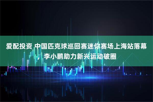 爱配投资 中国匹克球巡回赛迷你赛场上海站落幕，李小鹏助力新兴运动破圈