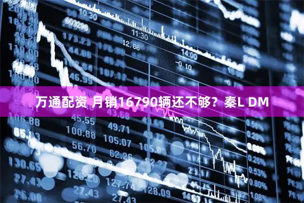 万通配资 月销16790辆还不够？秦L DM