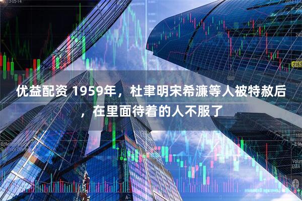 优益配资 1959年，杜聿明宋希濂等人被特赦后，在里面待着的人不服了