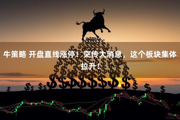 牛策略 开盘直线涨停！突传大消息，这个板块集体拉升！