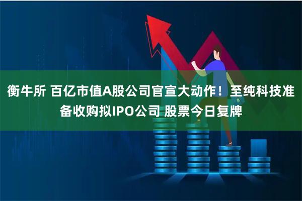 衡牛所 百亿市值A股公司官宣大动作！至纯科技准备收购拟IPO公司 股票今日复牌